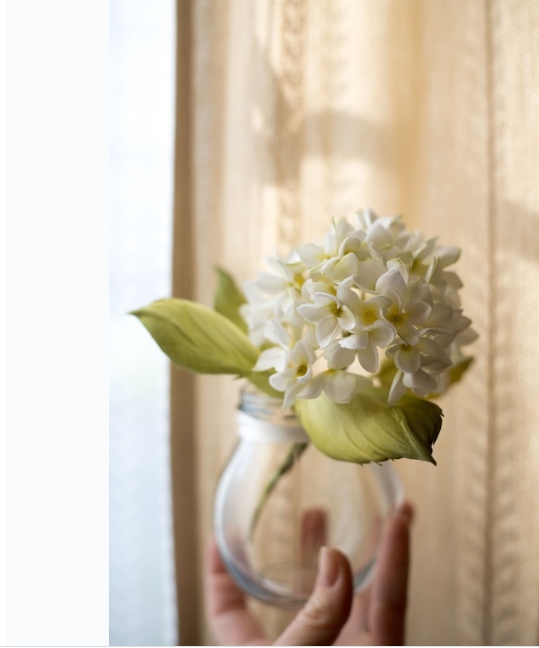 Гортензия (Оксана Бобровская)