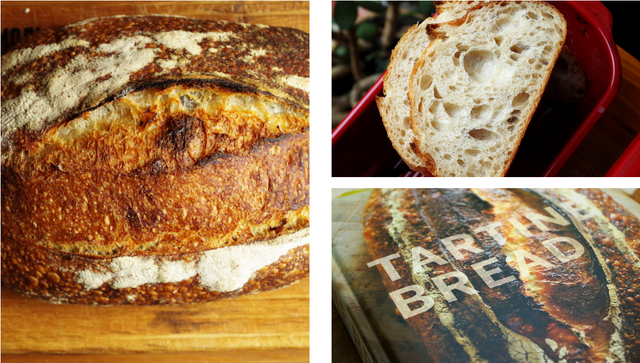 [Хлебомолы] Тартин