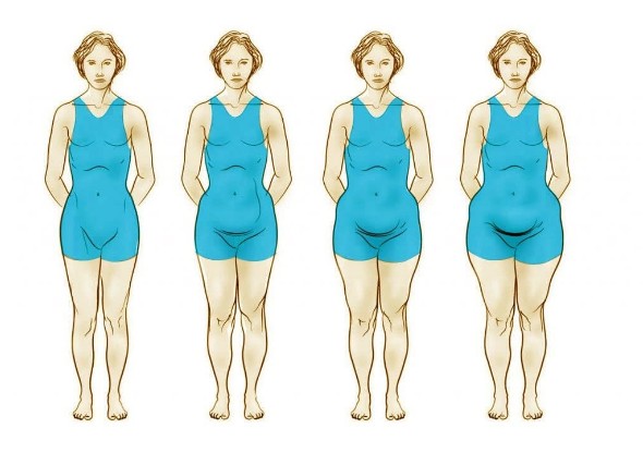 Яичниковый тип телосложения (Эрик Берг)