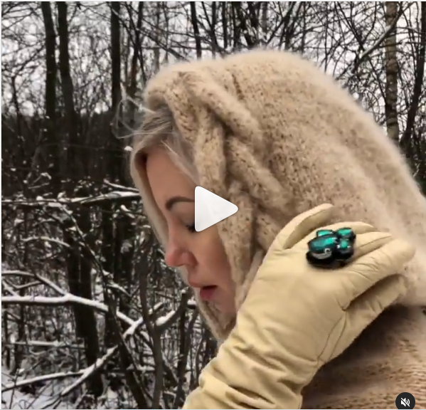 Капюшон Крылья (gala_shei), фото 1 из 1.