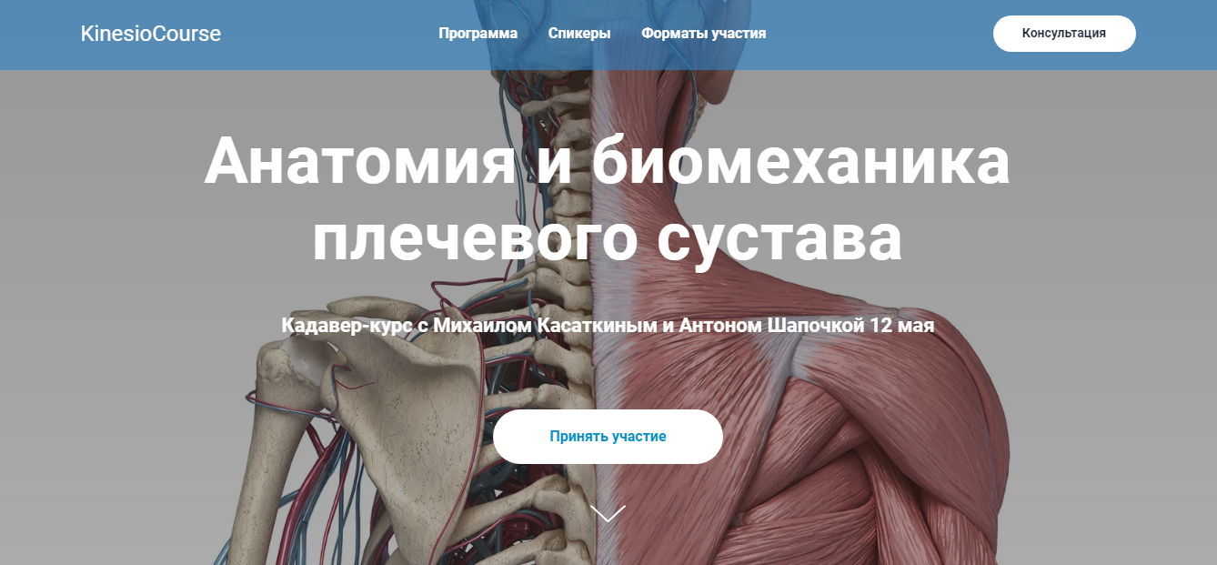 [kineziocourse] Анатомия и биомеханика плечевого сустава (Михаил Касаткин, Антон Шапочка)