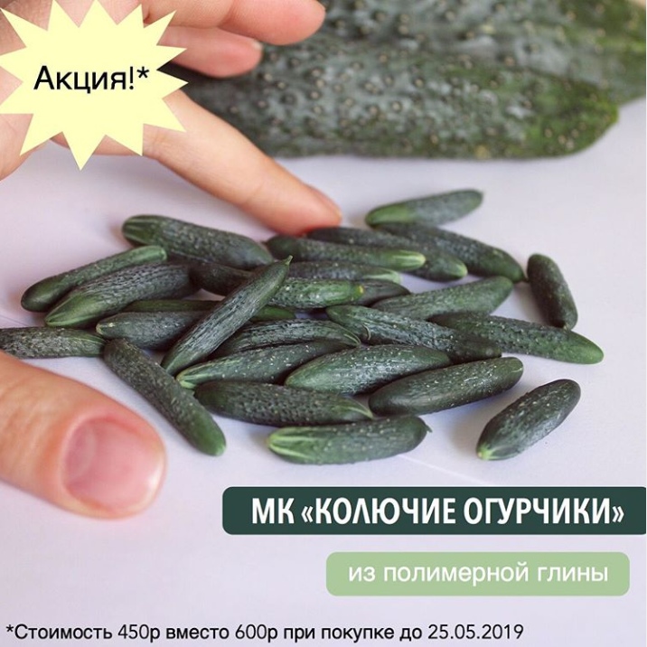 Колючие огурчики из полимерной глины [manufruktura]