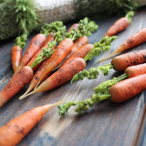 Лепка из полимерной глины Молоденькая морковь с ботвой (Кристина Орловская), фото 1 из 1.