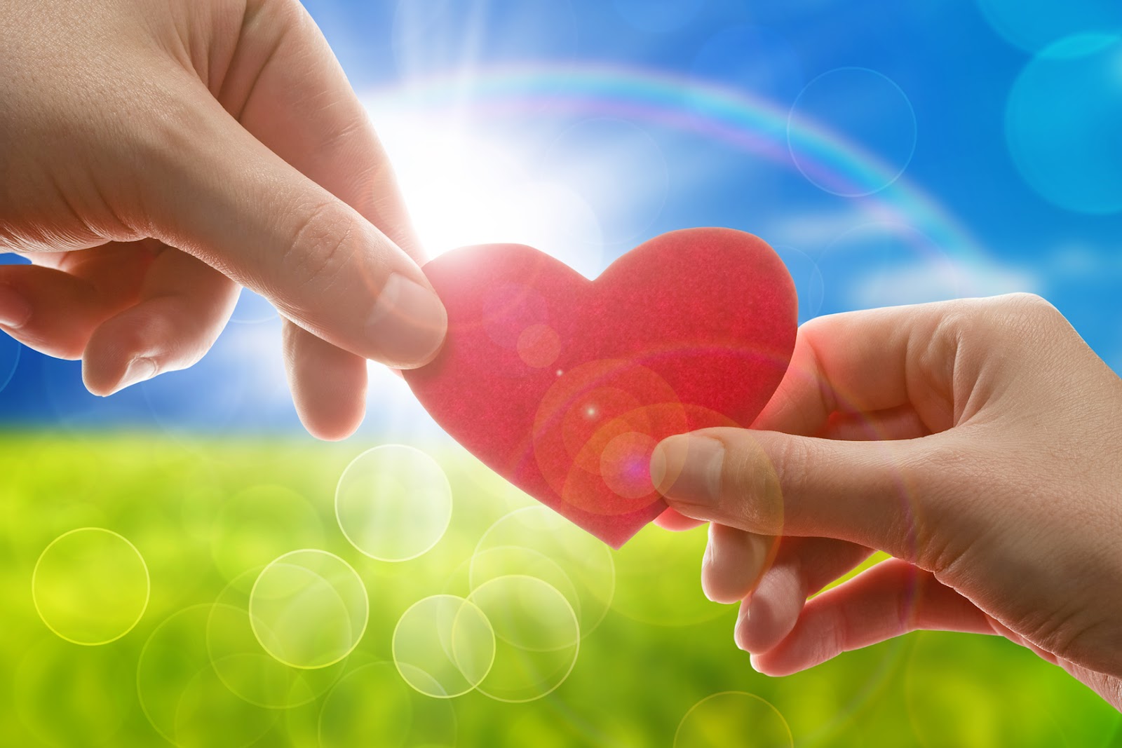 Любовь и как в ней уцелеть (Ирина Камаева)