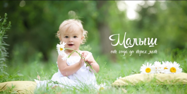 Малыш от года до трех лет (Ольга Свистунова)