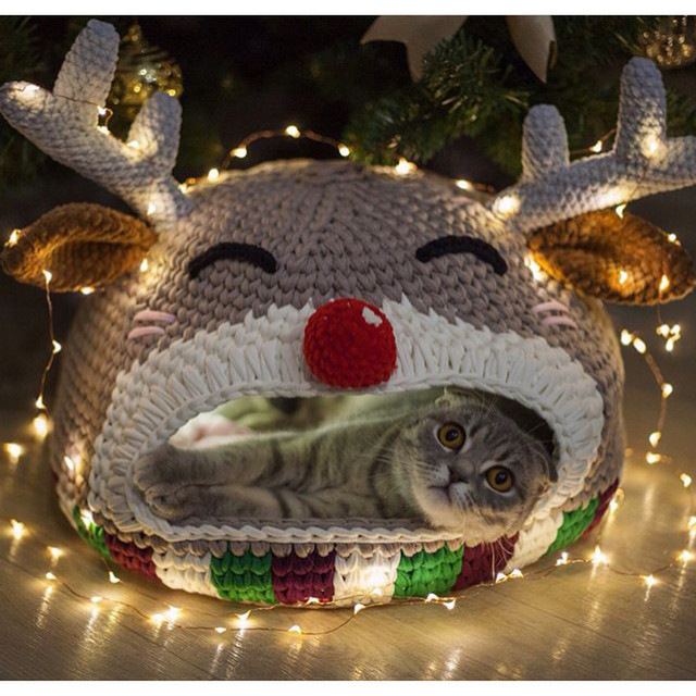 Мастер-класс по вязанию Домик для кошки (knitka_school), фото 1 из 1.