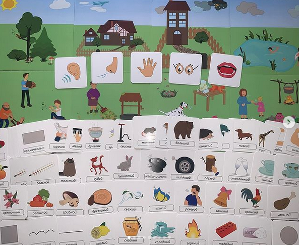 Многофункциональное пособие: Пять чувств (Эллина Шпаковская)