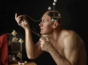 Нарциссические раны и нарциссические защиты в клинической работе (Натан Крейвис)