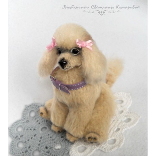 Ника пудель (Светлана Комарова)