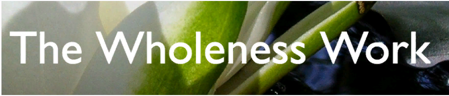 Обретение Целостности «продвинутый курс, часть 3  из 8  (Коннира Андреас)