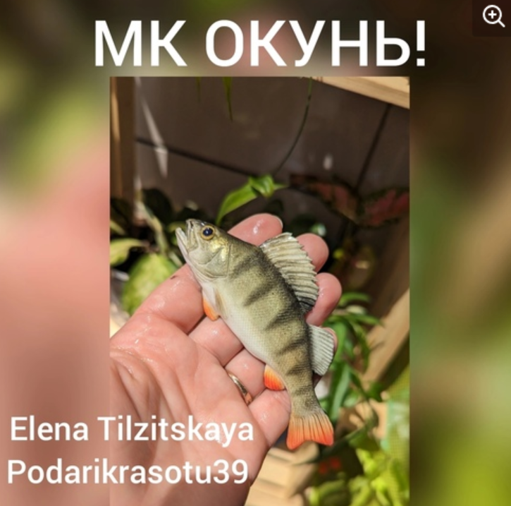 Окунь (Елена Тильзитская)