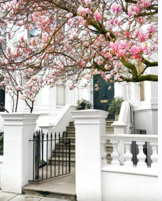 Онлайн-курс "Дом мечты"  (Анастасия Петрова)