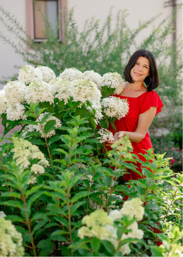 Пособие по выращиванию гортензий 190 страниц (sadlarisy), фото 1 из 1.