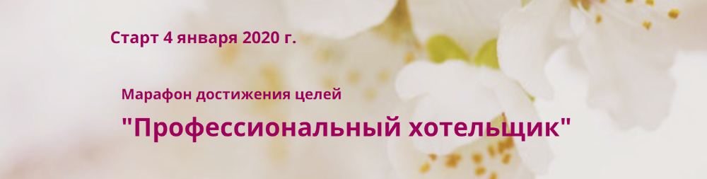 Профессиональный хотельщик. Январь 2020 г. (Мария Денисова)