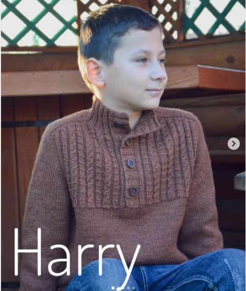 Пуловер Harry (liudmylababintseva)