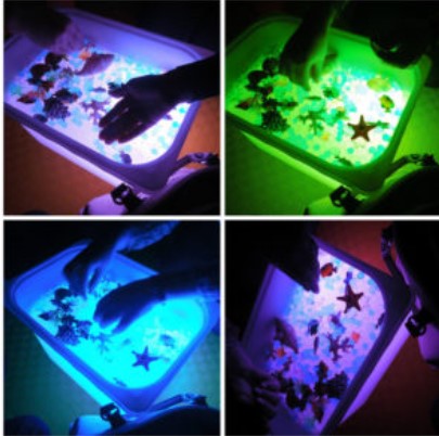 Сенсорные игры в развивающих занятиях и обучении иностранному языку (Дарья Тимощук)