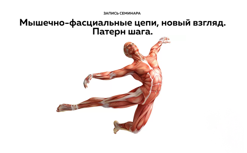 [Школа доктора Крутова] Мышечно-фасциальные цепи. Новый взгляд. (Дмитрий Кущик)