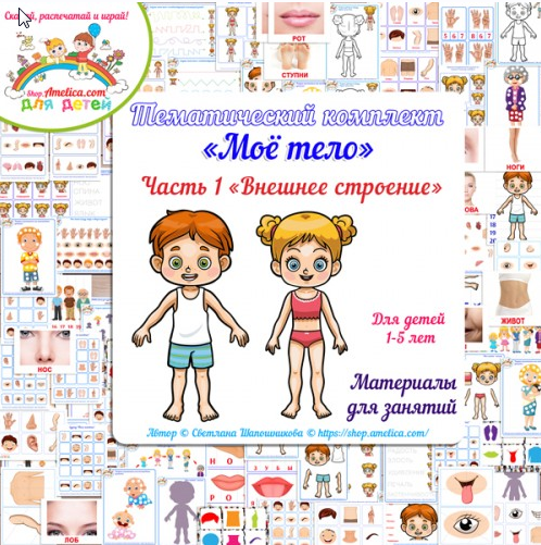 [shop.amelica] Тематический комплект «Тело человека. Часть 1. Внешнее строение» (Светлана Шапошникова)