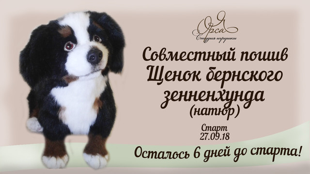 Совместный пошив Щенок бернского зенненхунда (Янина Орса)