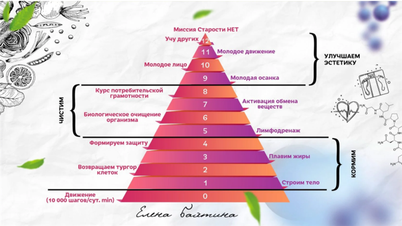 Старости нет. 12 привычек молодого человека. 0 Ступень (Елена Бахтина)