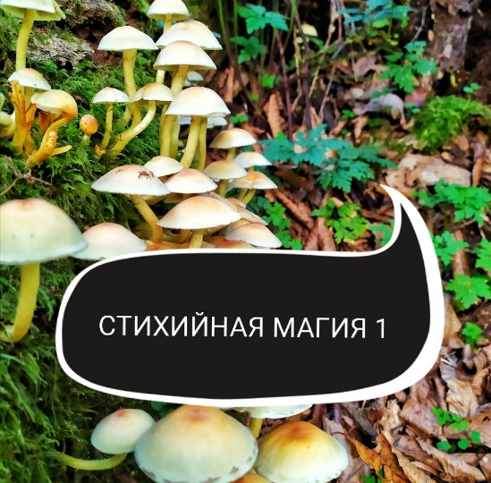 Стихийная магия. 1 ступень (Ольга Ракита)