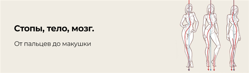 Стопы, тело, мозг. От пальцев до макушки (disintez)