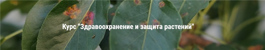 [Умный Садовник] Здравоохранение и защита растений. Единый тариф (Дмитрий Звонка)