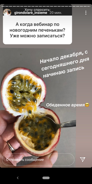 Вебинар  Новогодние Печеньки. Декабрь (Ольга Фан-Юнг)