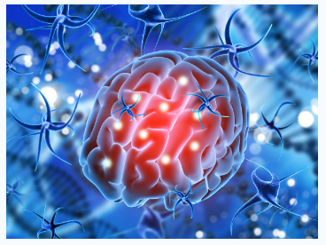 Вегетативная нервная система. Патологическая активность примитивных рефлексов (Николай Волынкин), фото 1 из 1.