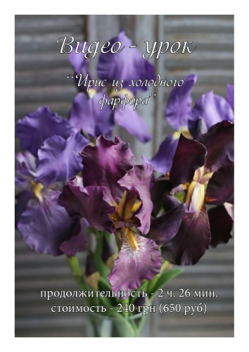 Видео-урок Ирис  из холодного фарфора (Инна Голубева)