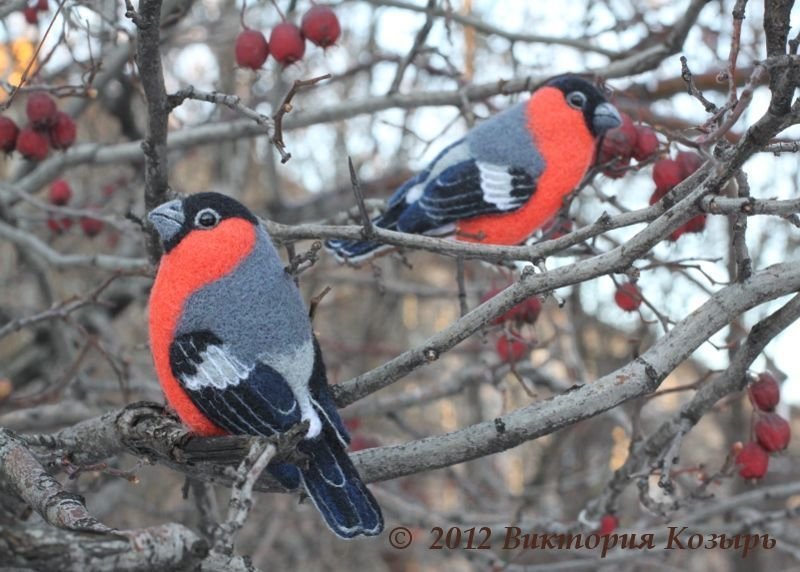 Видеокурс "Снегирь" (Виктория Козырь), фото 1 из 1.