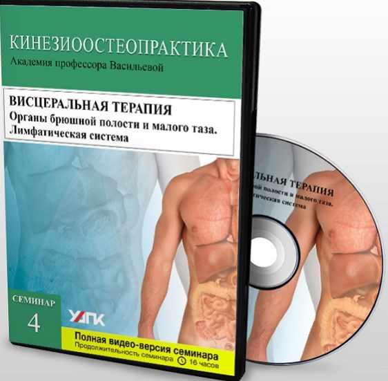 Висцеральная терапия. Органы брюшной полости и малого таза. Лимфатическая система. Семинар 4 (Вячеслав Пичугин)