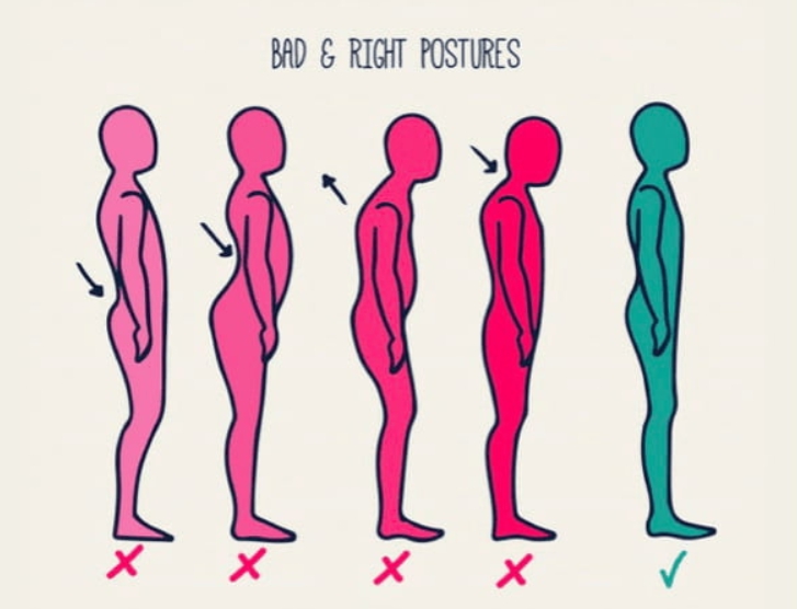 [wellcomclub] LITE Дистанционный курс «Тренировка при нарушениях осанки» (Эльмира Хабибуллина)