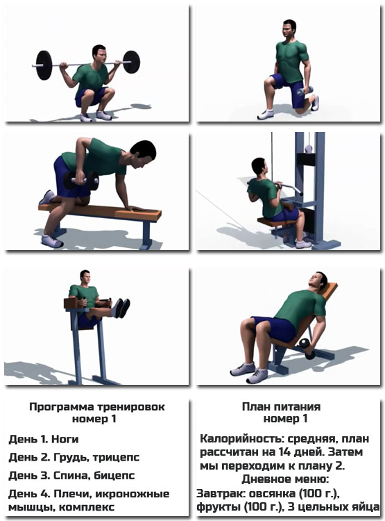 Your fit gym (Александр Добромиль)