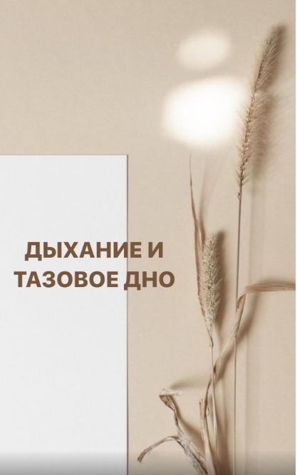 Женское здоровье.  Дыхание и тазовое дно (Анастасия Лунегова)