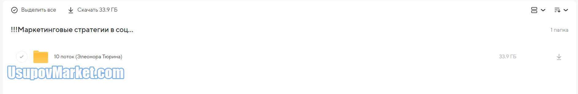 Маркетинговые стратегии в социальных сетях. 10 поток (Элеонора Тюрина)