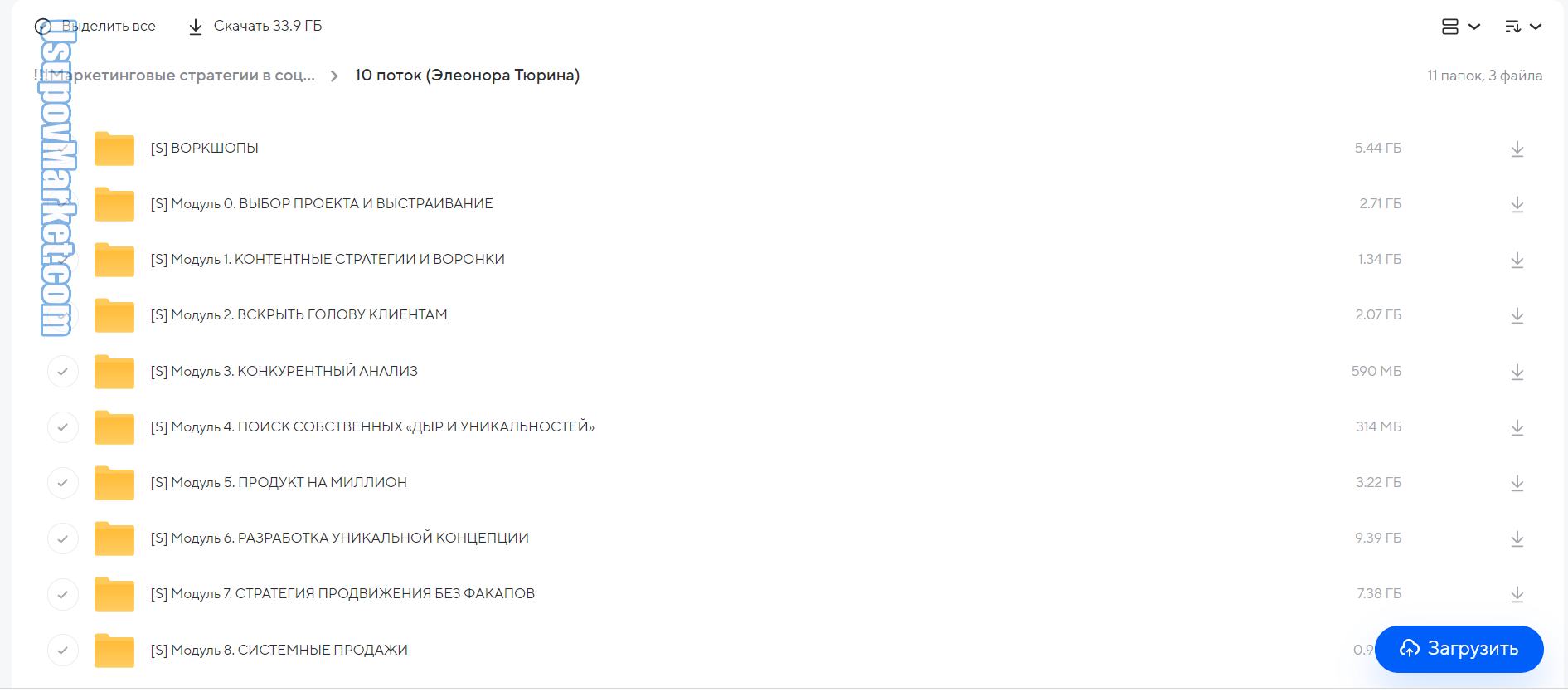 Маркетинговые стратегии в социальных сетях. 10 поток (Элеонора Тюрина)