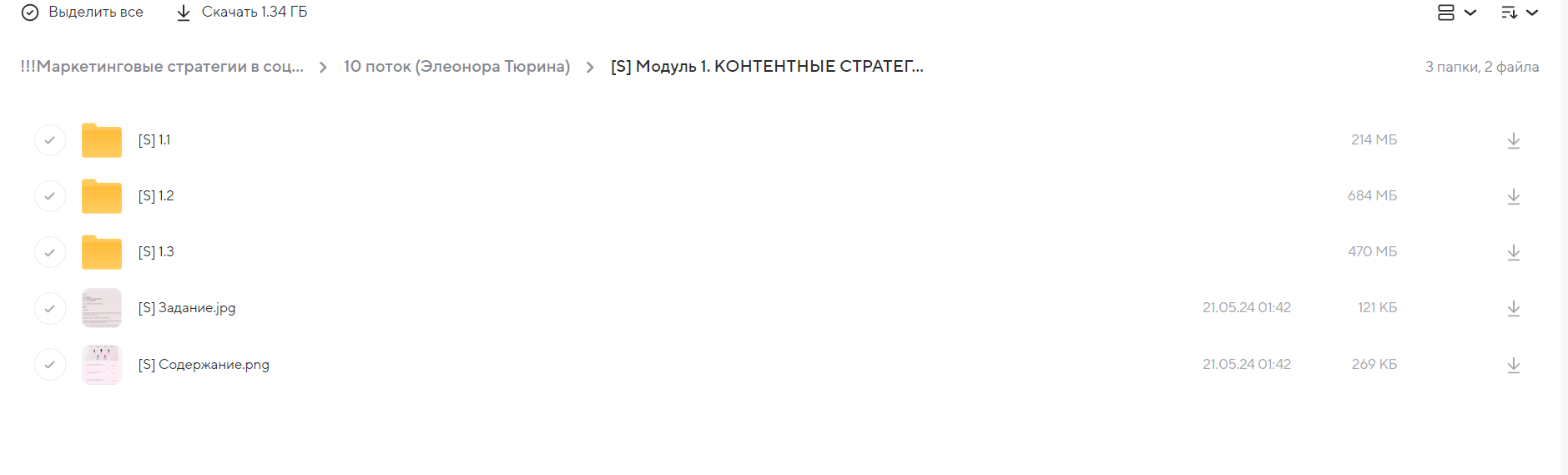 Маркетинговые стратегии в социальных сетях. 10 поток (Элеонора Тюрина)