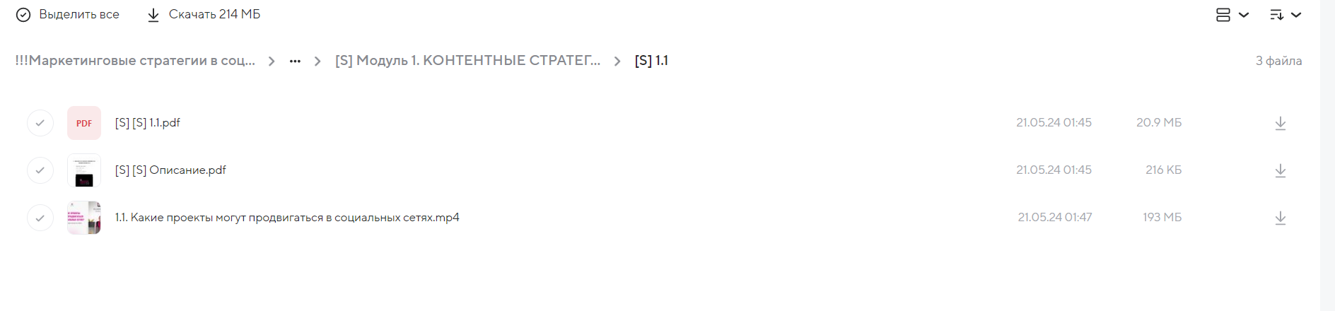 Маркетинговые стратегии в социальных сетях. 10 поток (Элеонора Тюрина)