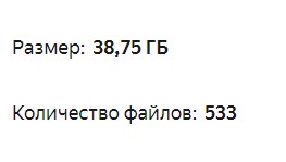 Блестящий курс. Тариф Бизнес (Галина Гулевская)