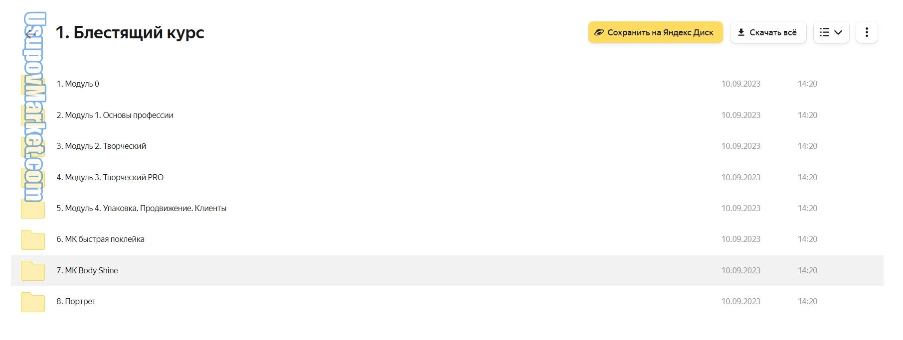 Блестящий курс. Тариф Бизнес (Галина Гулевская)