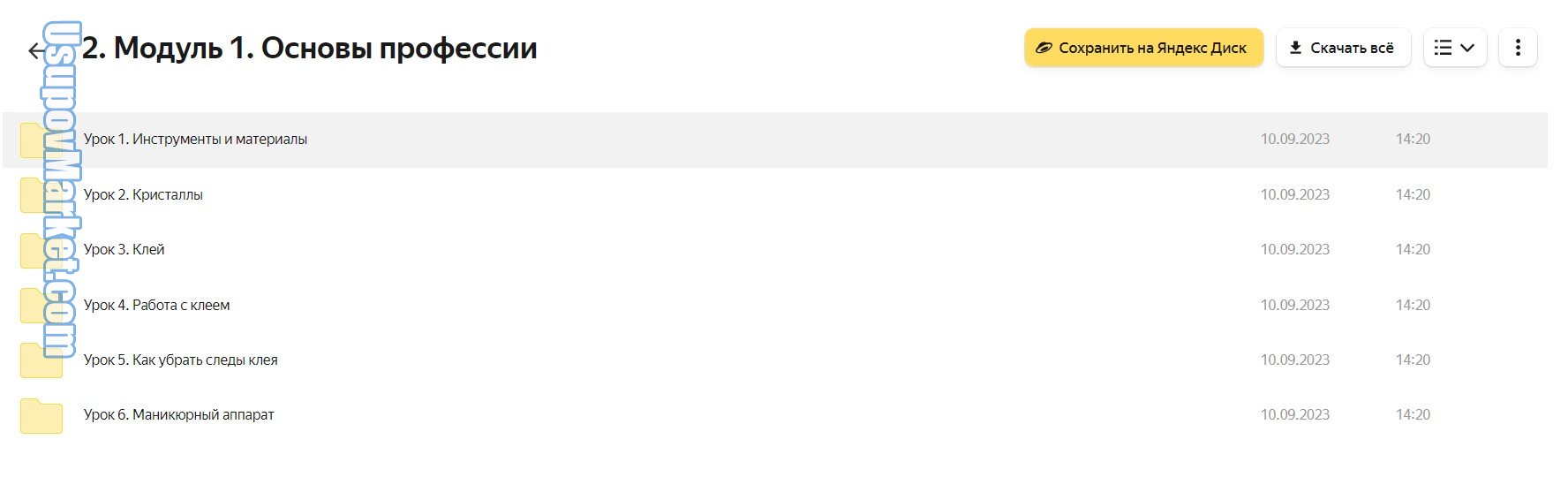Блестящий курс. Тариф Бизнес (Галина Гулевская)