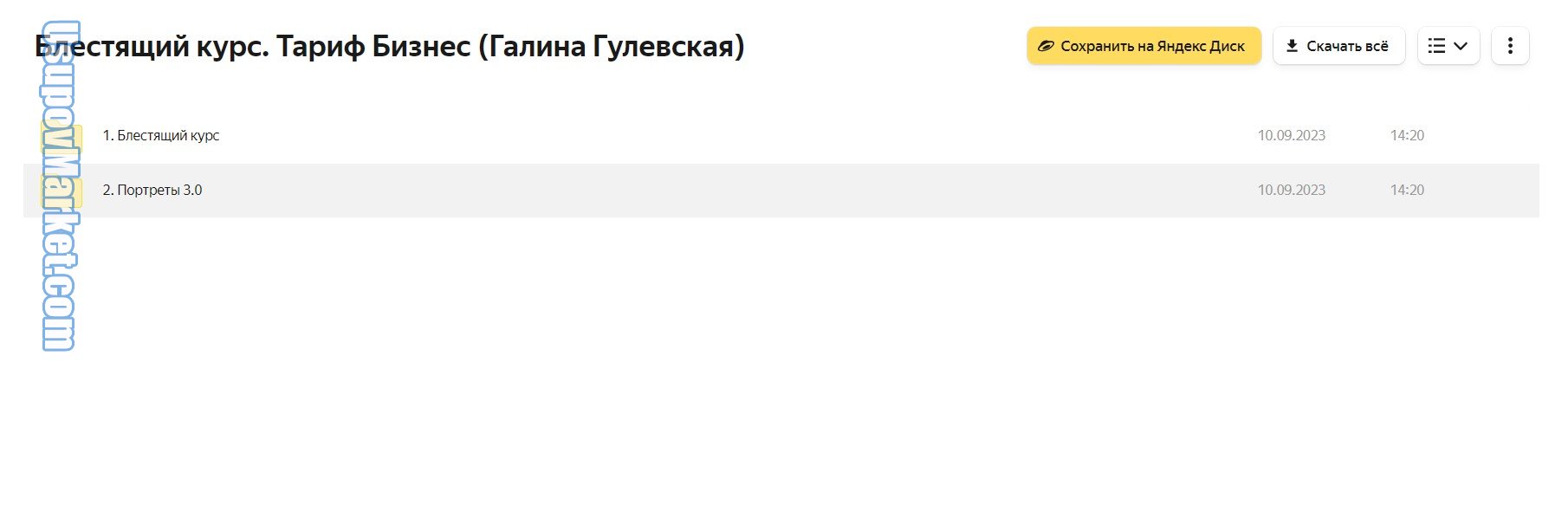 Блестящий курс. Тариф Бизнес (Галина Гулевская)