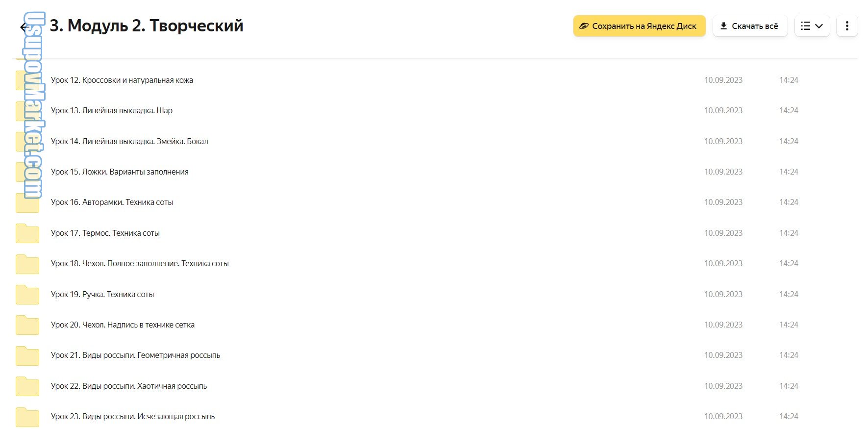 Блестящий курс. Тариф Бизнес (Галина Гулевская)
