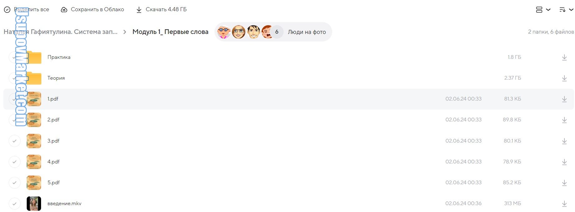 Система запуска речи. Тариф Специалист (Наталья Гафиятулина)