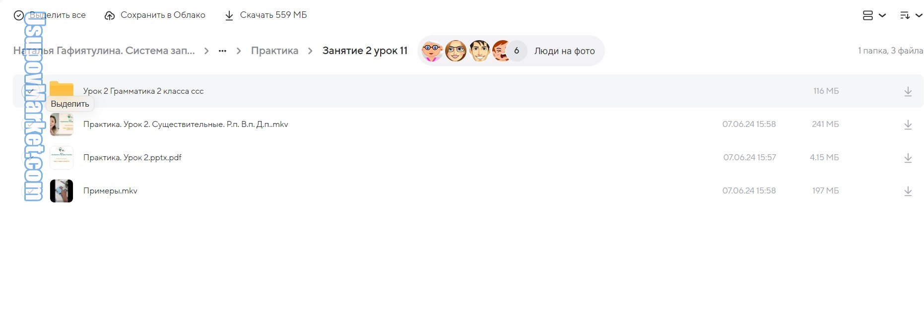 Система запуска речи. Тариф Специалист (Наталья Гафиятулина)