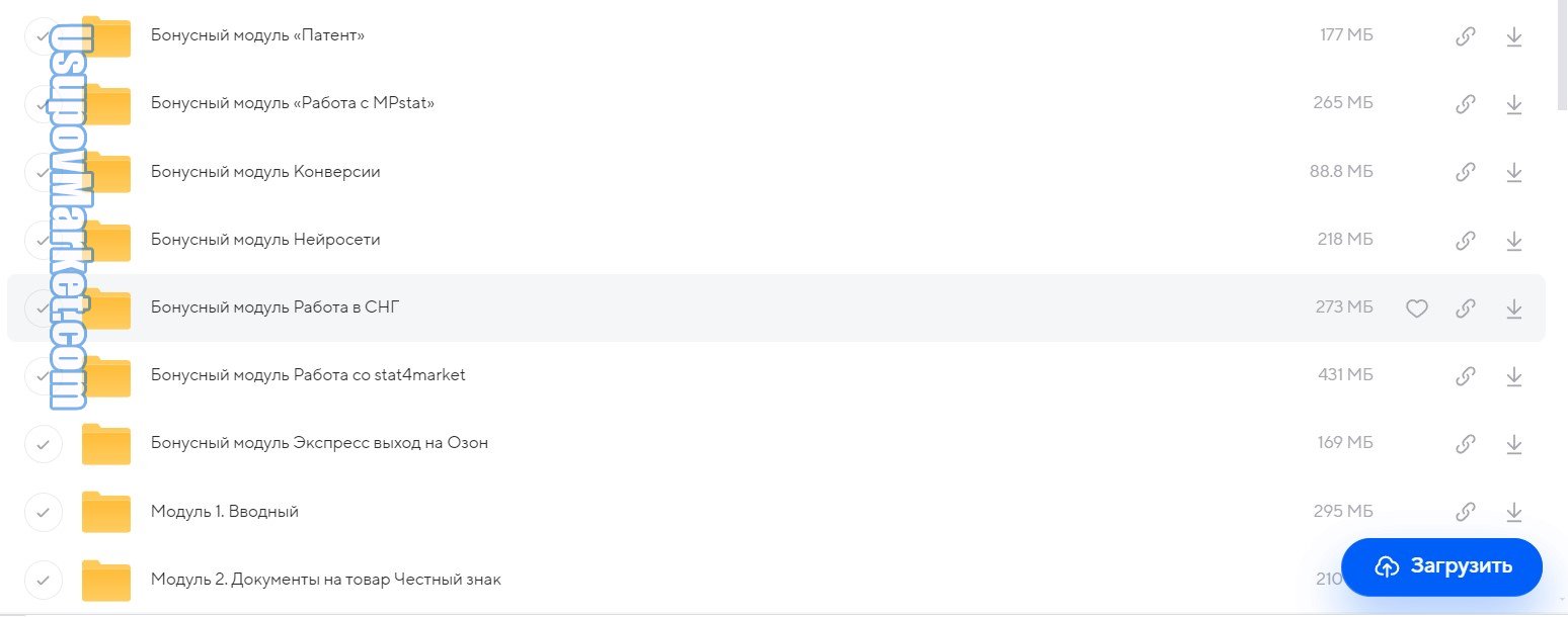 [Меркатус] Я Топ-Селлер Вайлдберриз 14 поток 2024. Тариф Я супер селлер (Лео Шевченко)