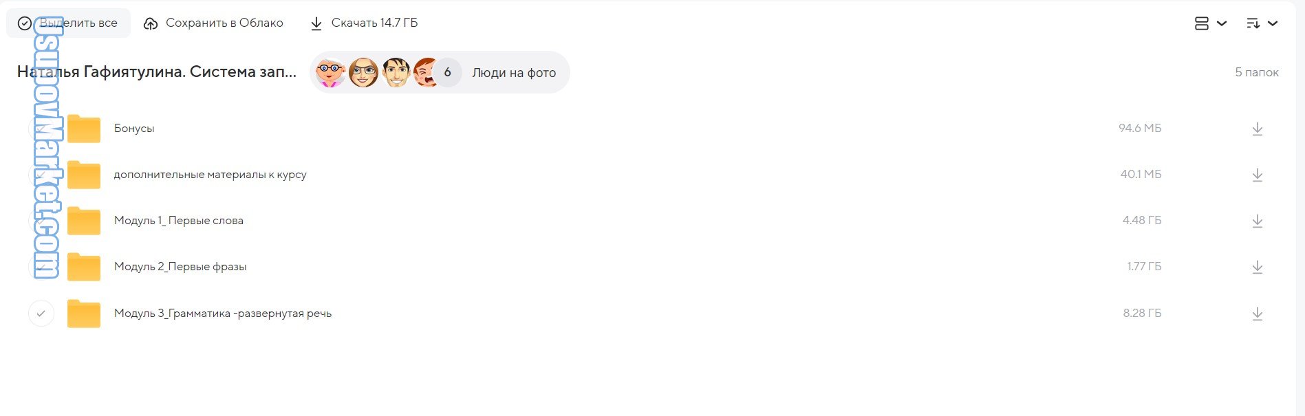 Система запуска речи. Тариф Специалист (Наталья Гафиятулина)