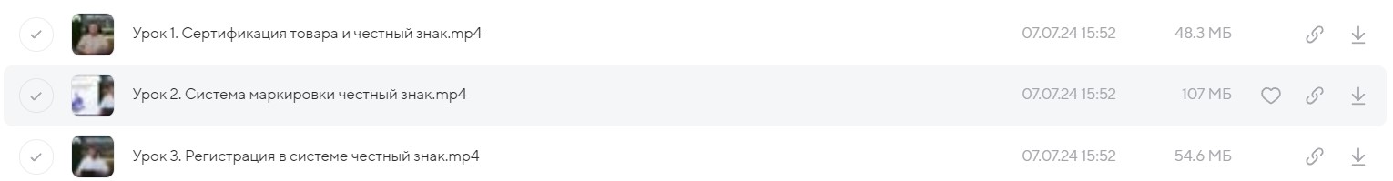 [Меркатус] Я Топ-Селлер Вайлдберриз 14 поток 2024. Тариф Я супер селлер (Лео Шевченко)