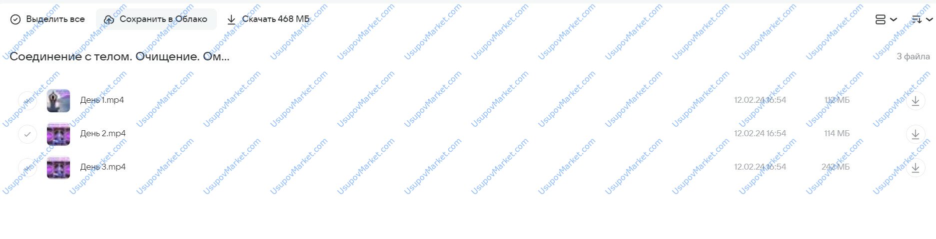 Соединение с телом. Очищение. Омоложение. Гармония. Январь 2024 (Эмилия Франк)